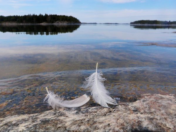 Enkeliviesti joka viikolle kuukauden ajan